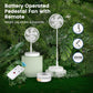 Primevolve P3000 12 inch Portable Battery Operated Fan, Standing Oscillating Fan with Remote