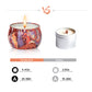 Primevolve Set of 4 Home Scented Aromatherapy Candles with Fragrances | Primevolve