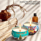 Primevolve Home Scented Aromatherapy Candles with Fragrances
