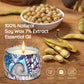 Primevolve Set of 4 Home Scented Aromatherapy Candles with Fragrances | Primevolve